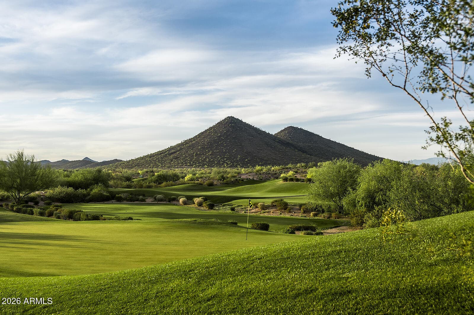 12743 W Calle De Pompas, Peoria, AZ 85383 — photo 36 of 45