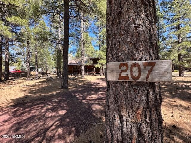 207 BLUE RIDGE Road, Mormon Lake, AZ 86038 — photo 3 of 65