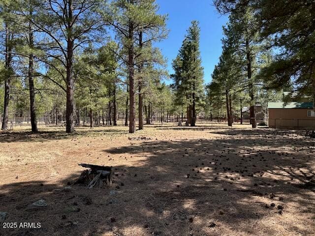 207 BLUE RIDGE Road, Mormon Lake, AZ 86038 — photo 42 of 65