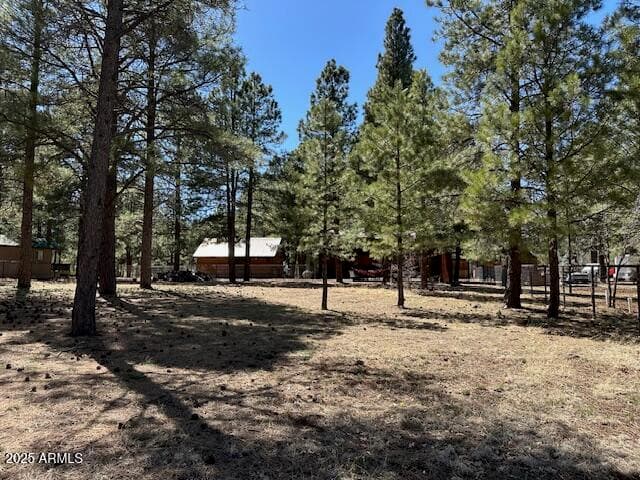 207 BLUE RIDGE Road, Mormon Lake, AZ 86038 — photo 44 of 65