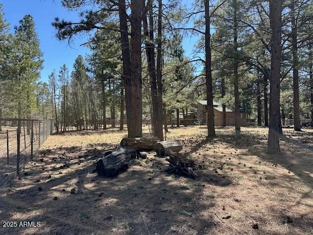 207 BLUE RIDGE Road, Mormon Lake, AZ 86038 — photo 45 of 65