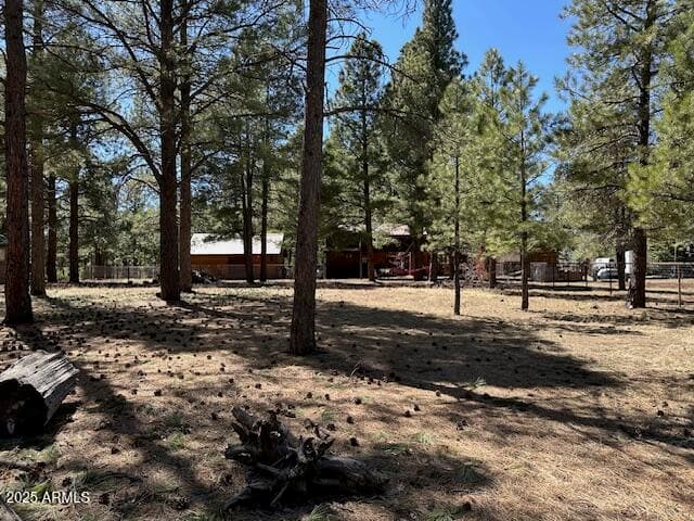 207 BLUE RIDGE Road, Mormon Lake, AZ 86038 — photo 46 of 65