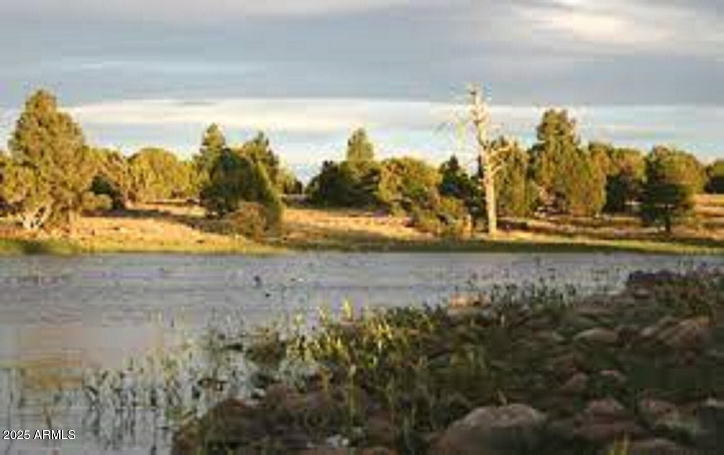 207 BLUE RIDGE Road, Mormon Lake, AZ 86038 — photo 60 of 65