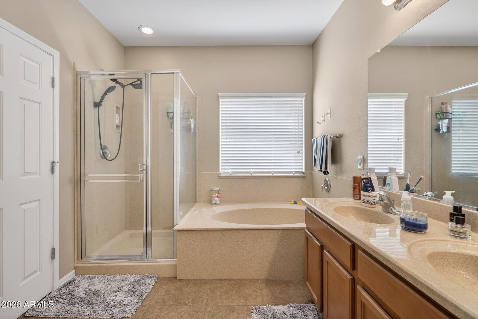 40825 N HEMLOCK Street, San Tan Valley, AZ 85140 — photo 20 of 73