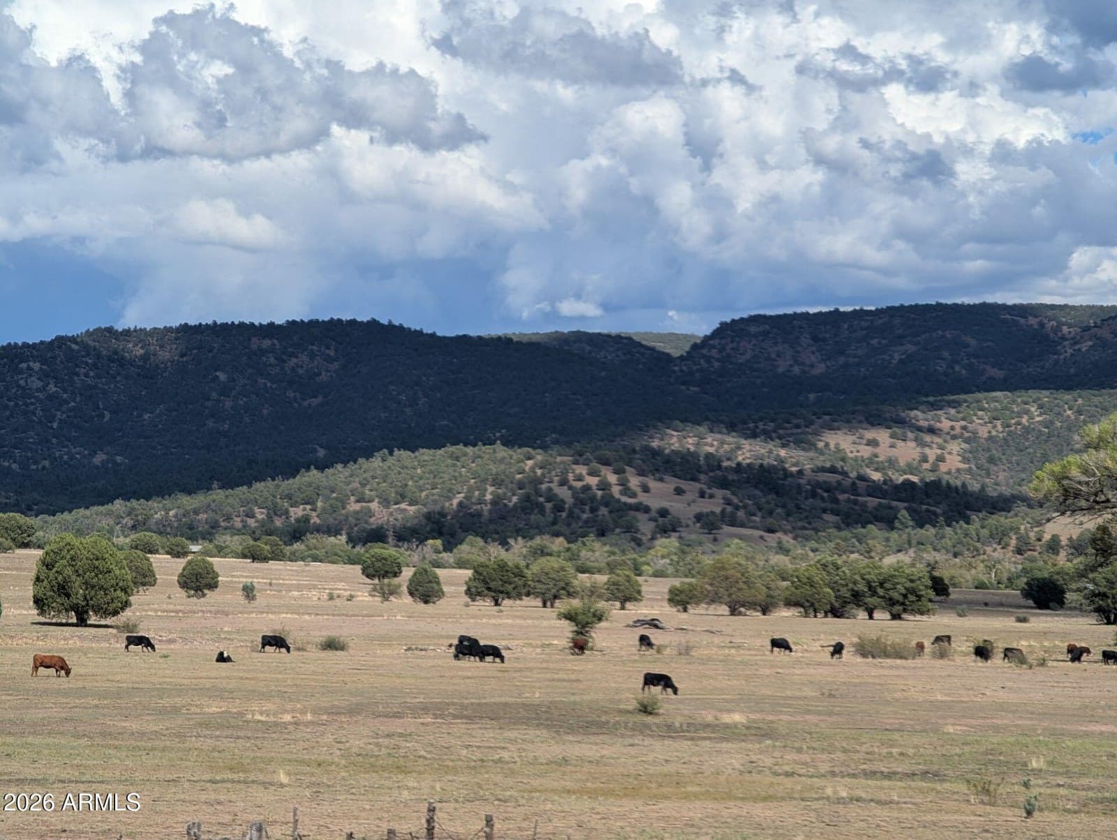 47966 N AZ HIGHWAY 288, Young, AZ 85554 — photo 35 of 80