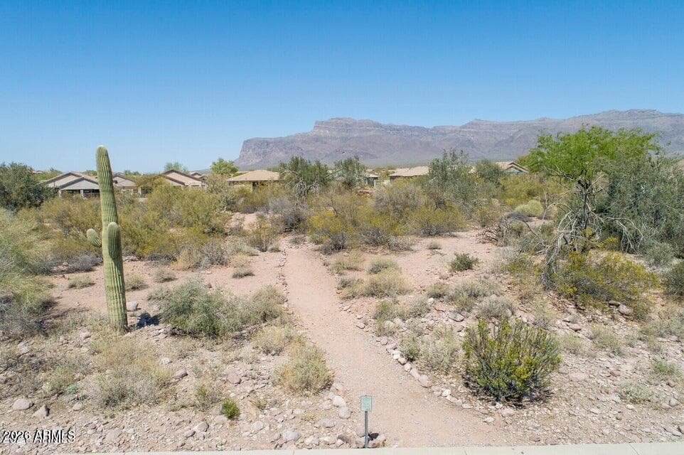 6599 E CASA DE LEON Lane, Gold Canyon, AZ 85118 — photo 65 of 67