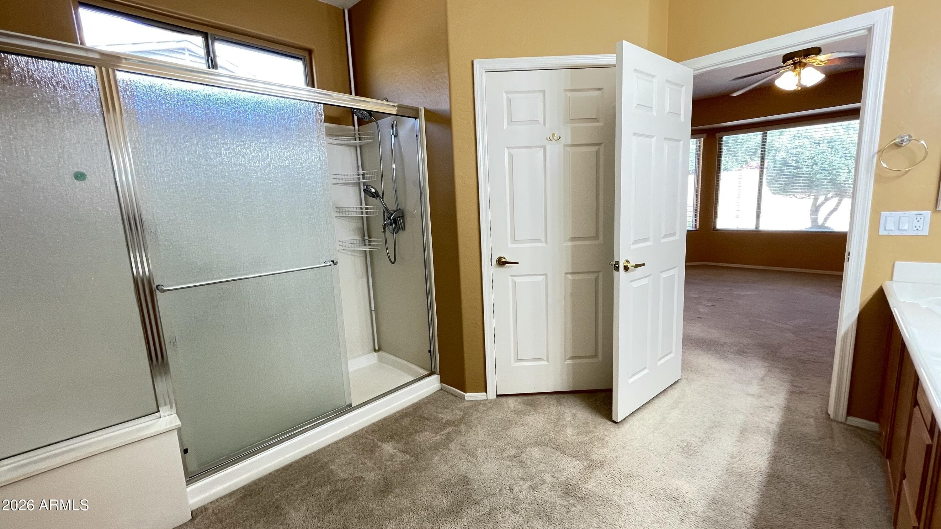 16452 W CENTURY PLANT Drive, Surprise, AZ 85387 — photo 20 of 53