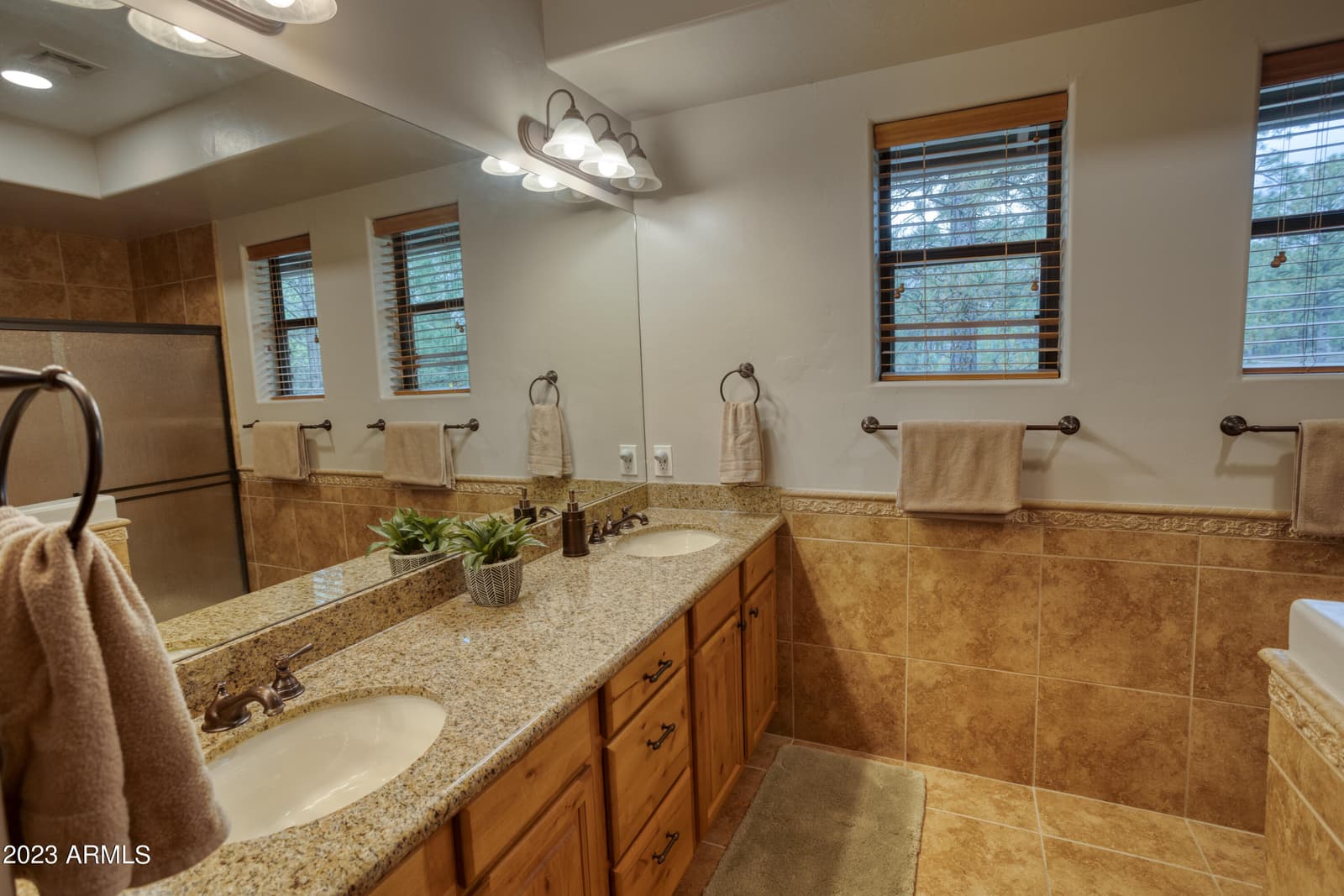 3700 W BLACK OAK Loop A4, Show Low, AZ 85901 — photo 15 of 25