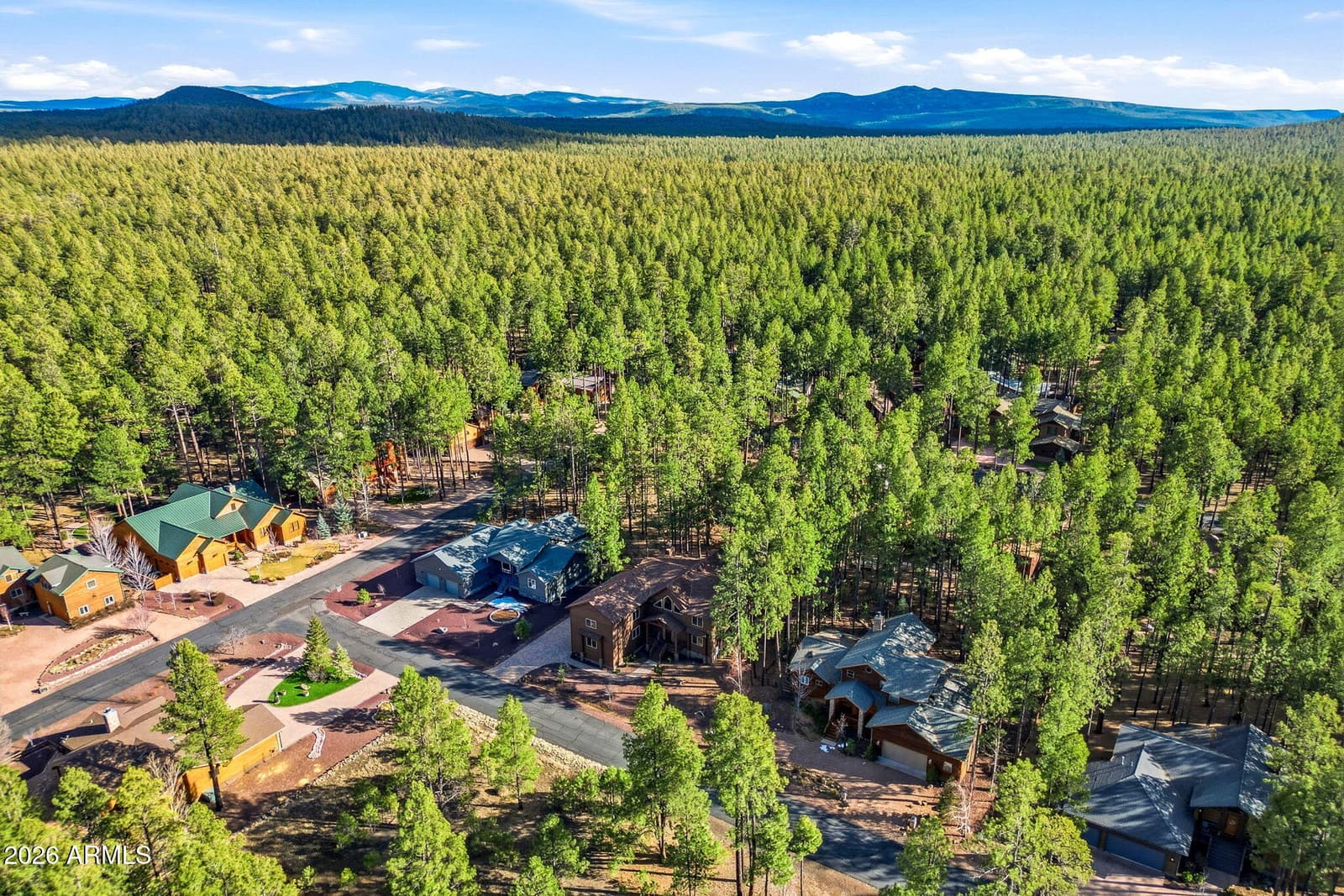8505 Pinewood Drive, Pinetop, AZ 85935 — photo 53 of 57