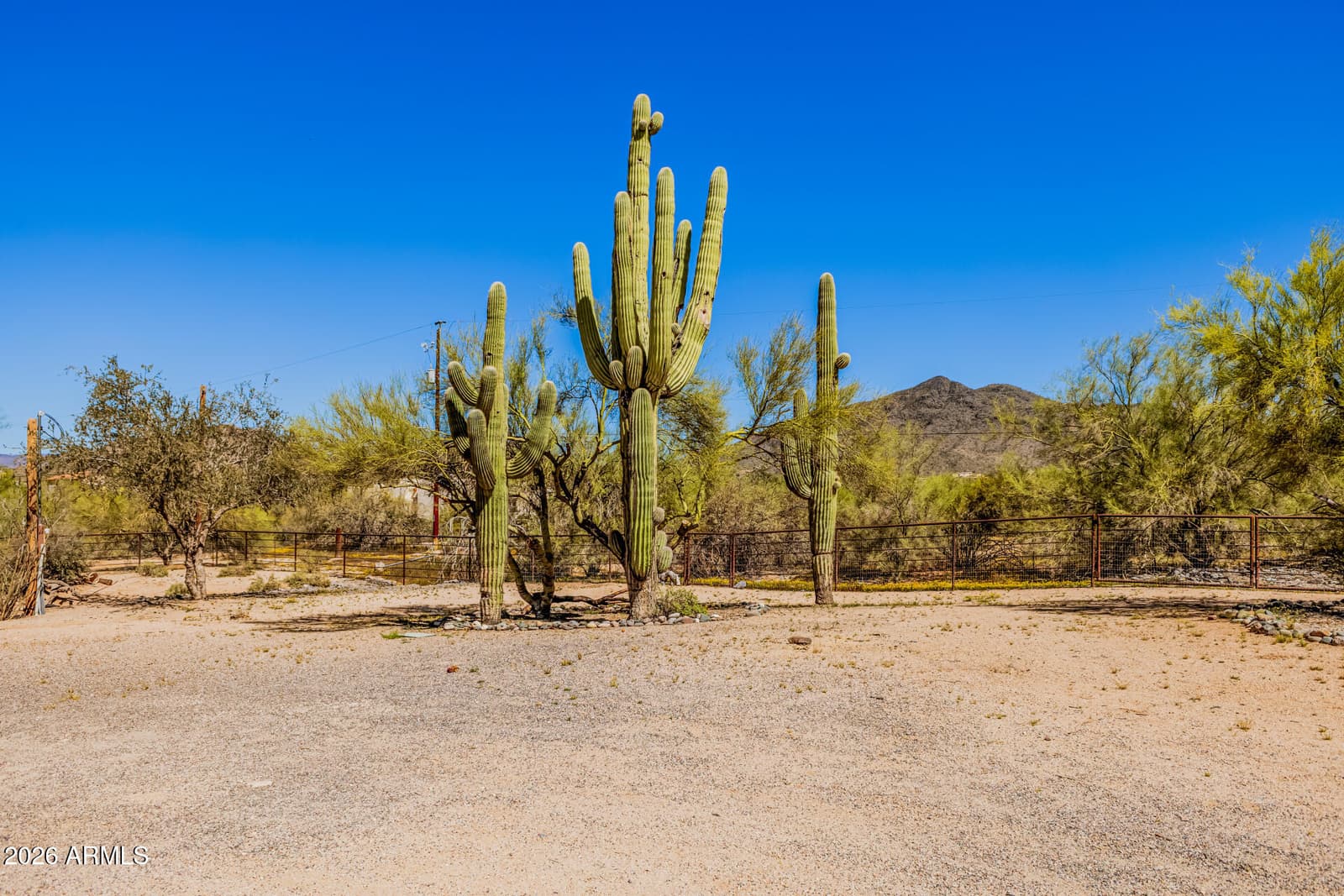 35412 N 51ST Street, Cave Creek, AZ 85331 — photo 35 of 100