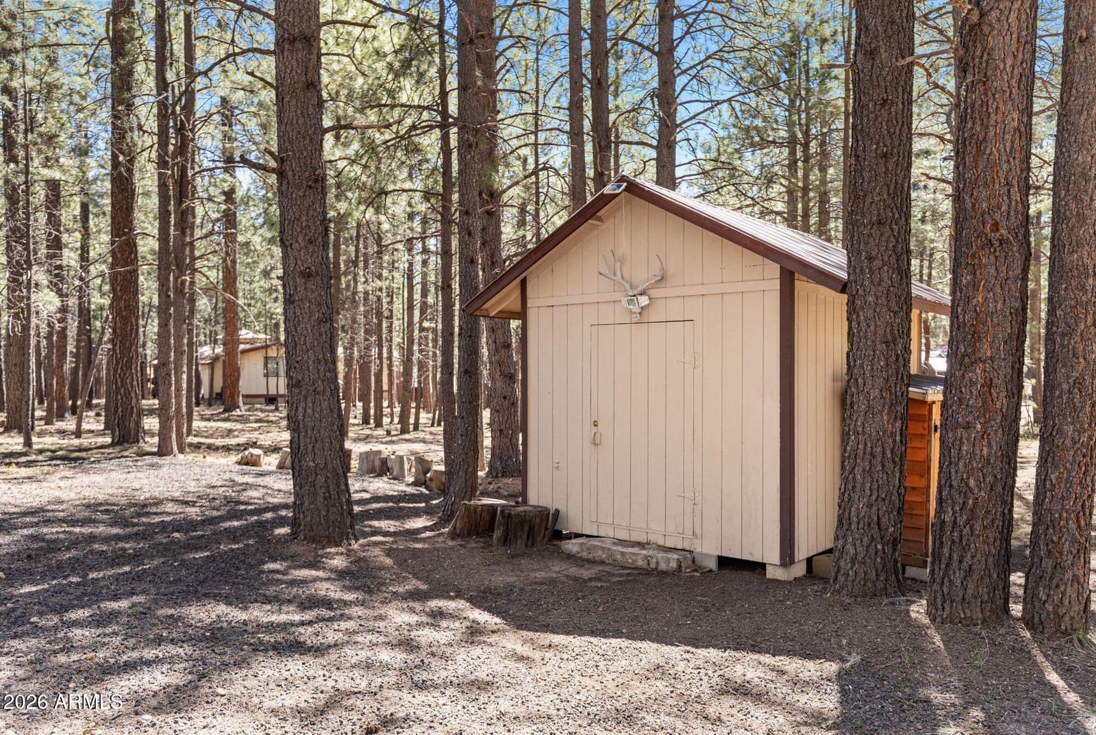 2224 DAISY Trail, Forest Lakes, AZ 85931 — photo 24 of 24