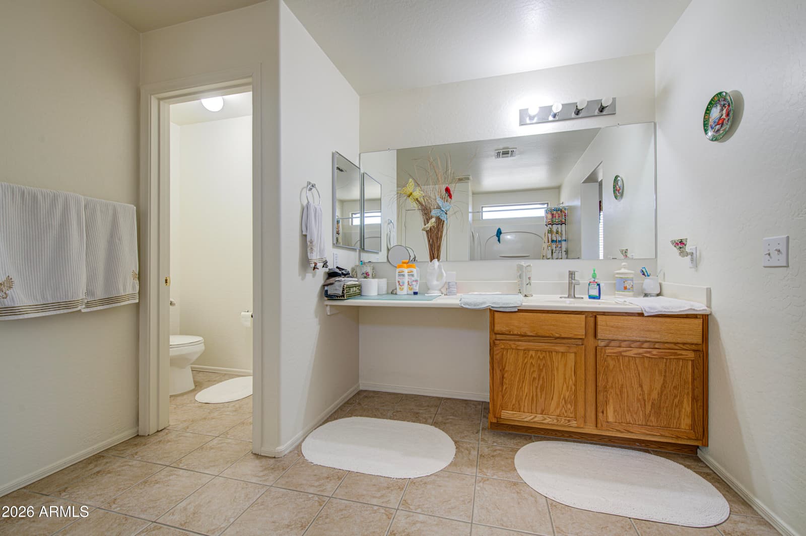 2218 N 91ST Lane, Phoenix, AZ 85037 — photo 9 of 23
