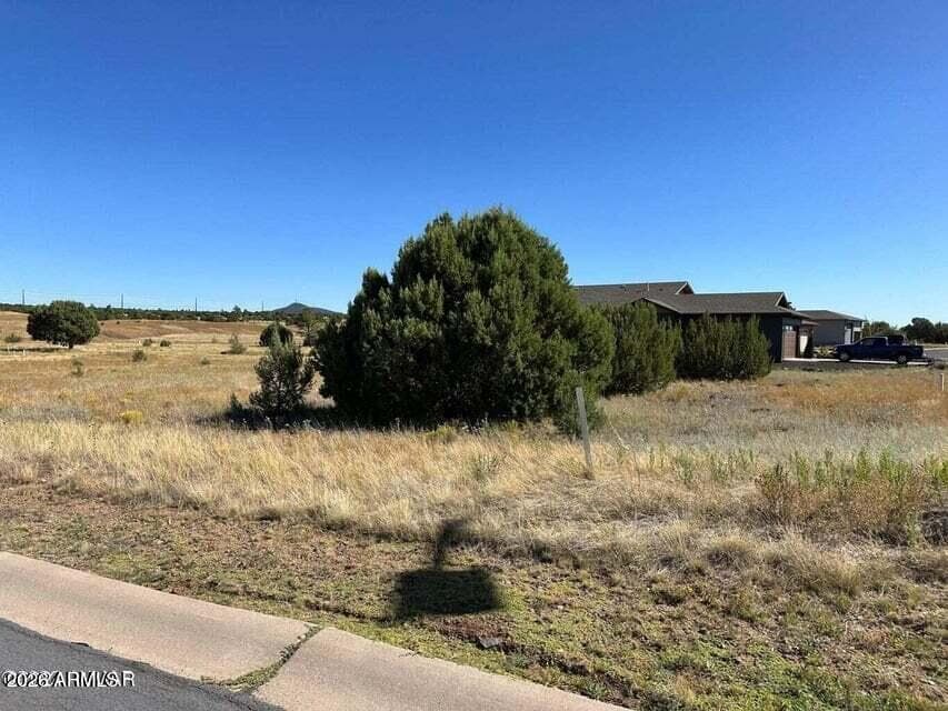 1041 S RIDGELINE Drive, Show Low, AZ 85901 — photo 2 of 5