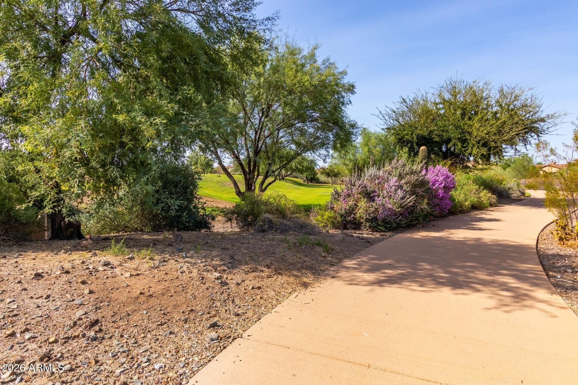 12904 W CHUCKS Avenue, Peoria, AZ 85383 — photo 32 of 35