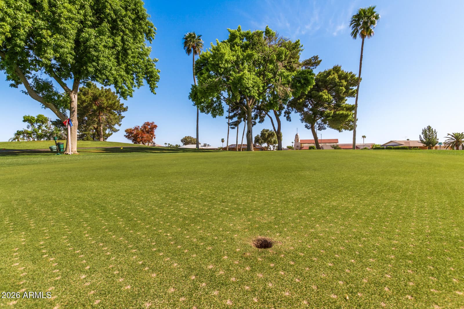 18003 N 134th Drive, Sun City West, AZ 85375 — photo 58 of 60