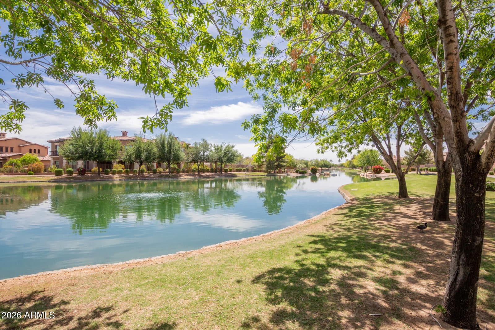 4991 S COTTON Court, Chandler, AZ 85248 — photo 34 of 40