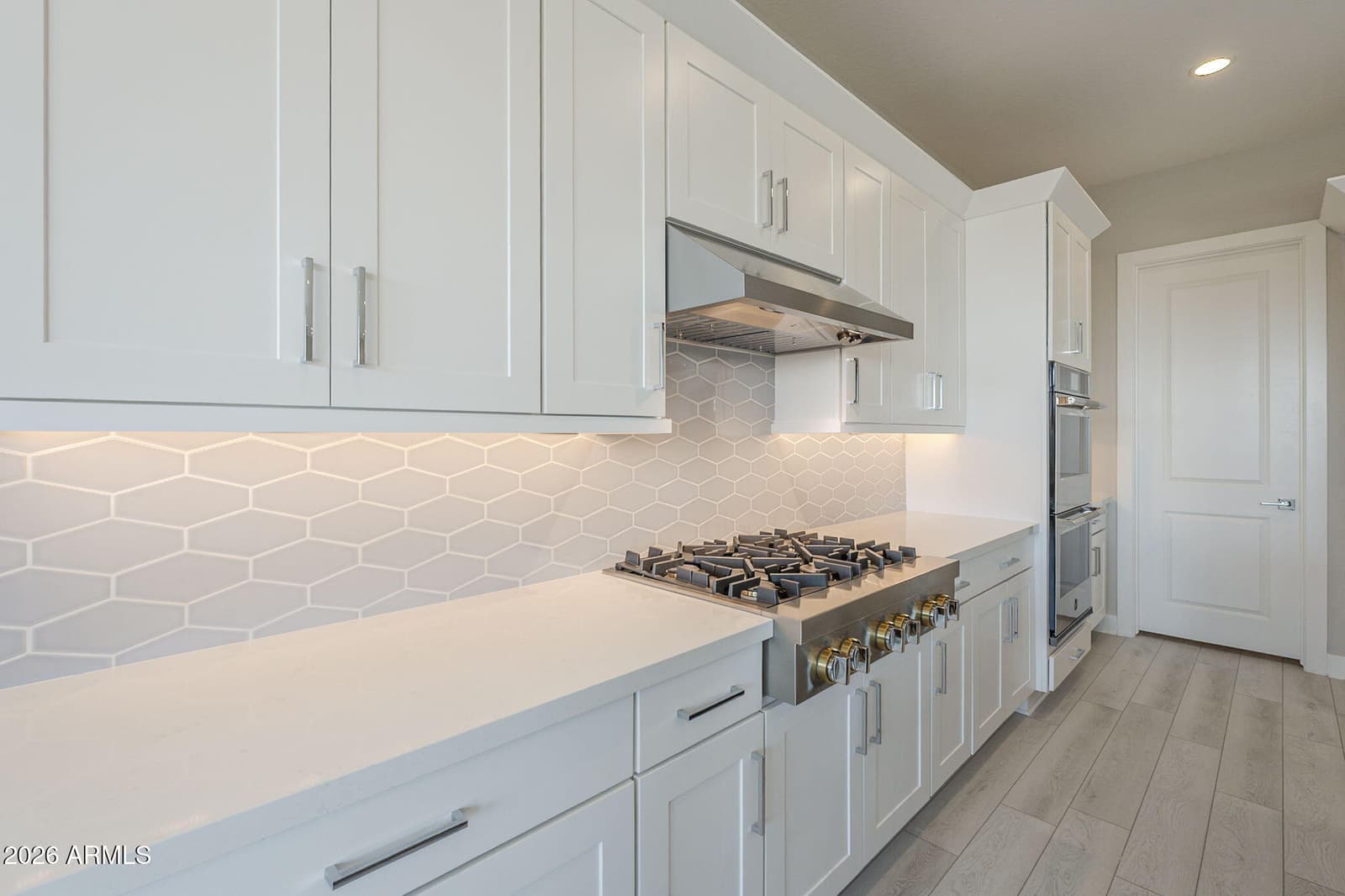 10841 N BLAKELY Street, Surprise, AZ 85388 — photo 12 of 62
