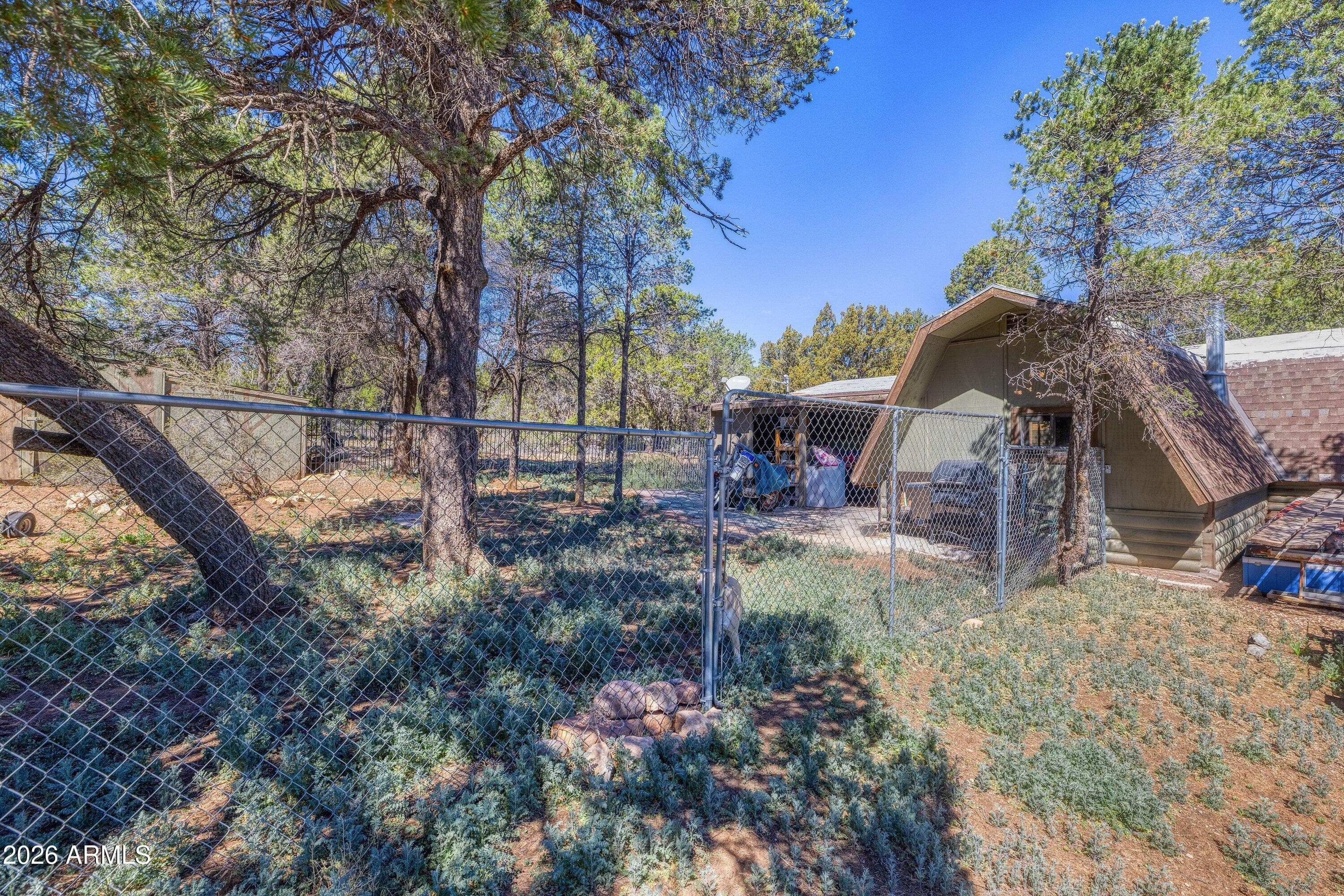 3155 Aspen Road, Overgaard, AZ 85933 — photo 11 of 14