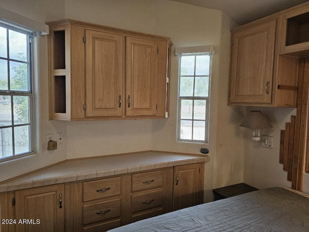 1175 S KIOWA Circle, Apache Junction, AZ 85119 — photo 51 of 59