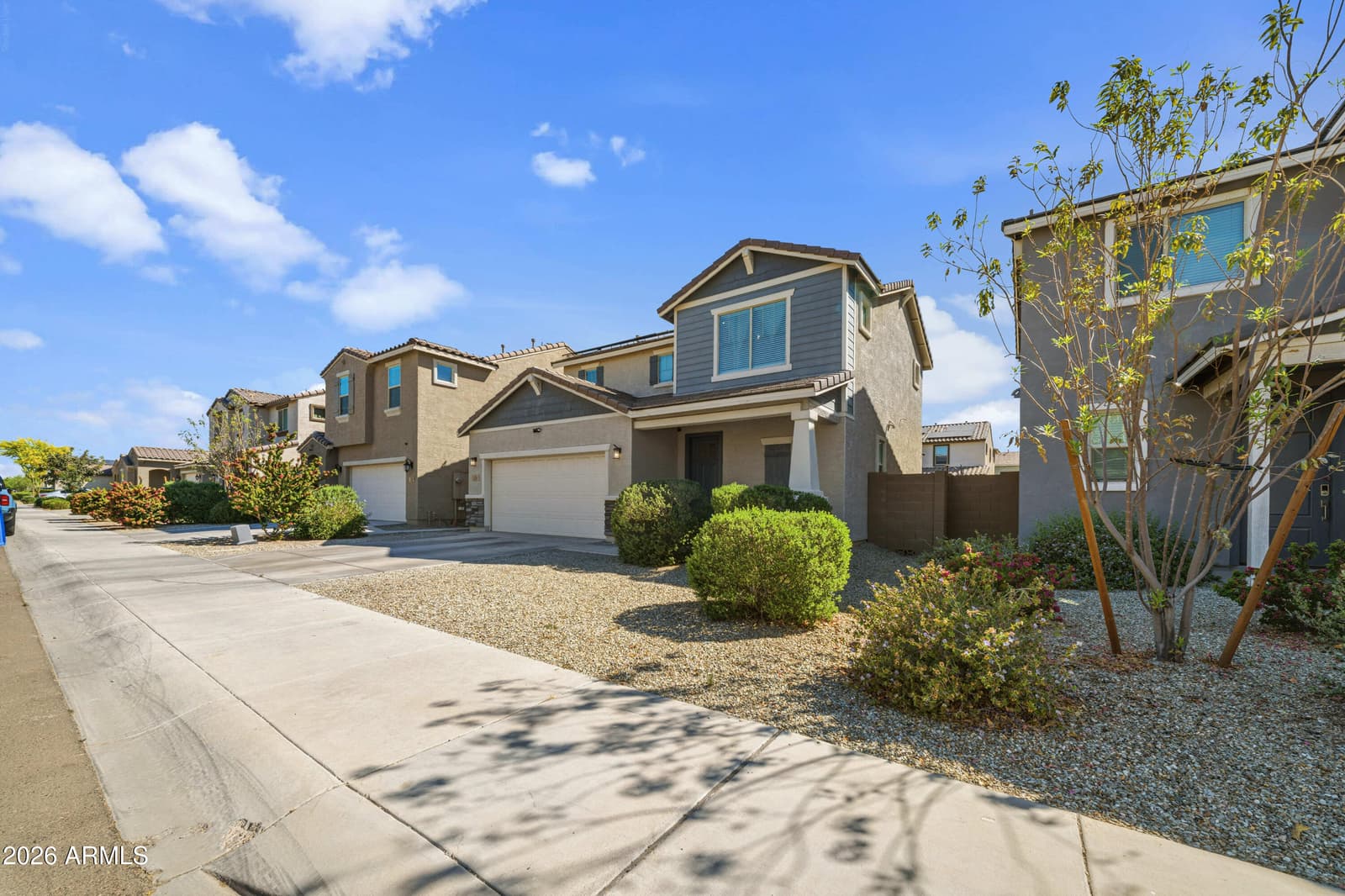 419 N 110TH Drive, Avondale, AZ 85323 — photo 2 of 39