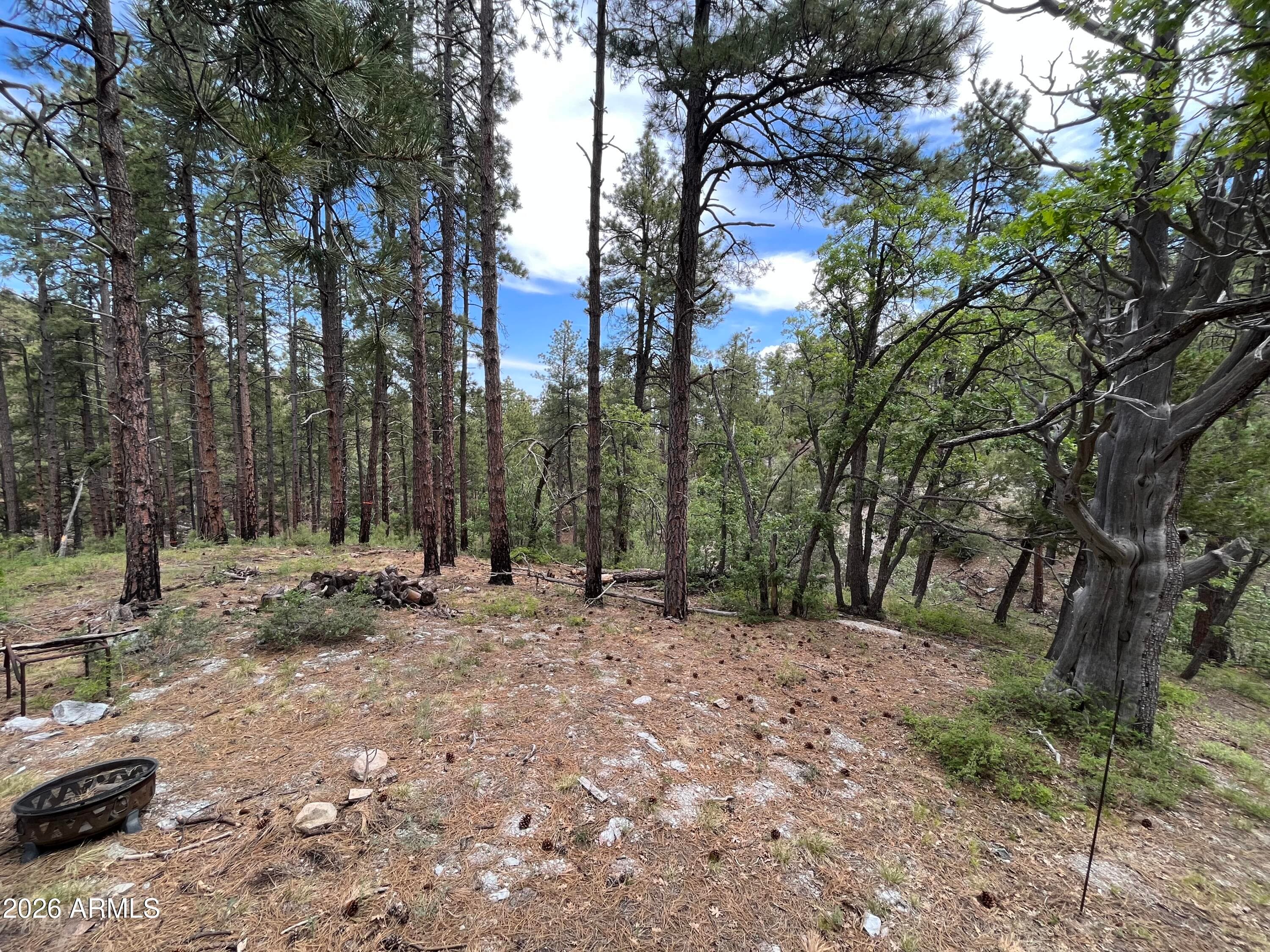 7070 E WILD FLOWER Road, Crown King, AZ 86343 — photo 3 of 14
