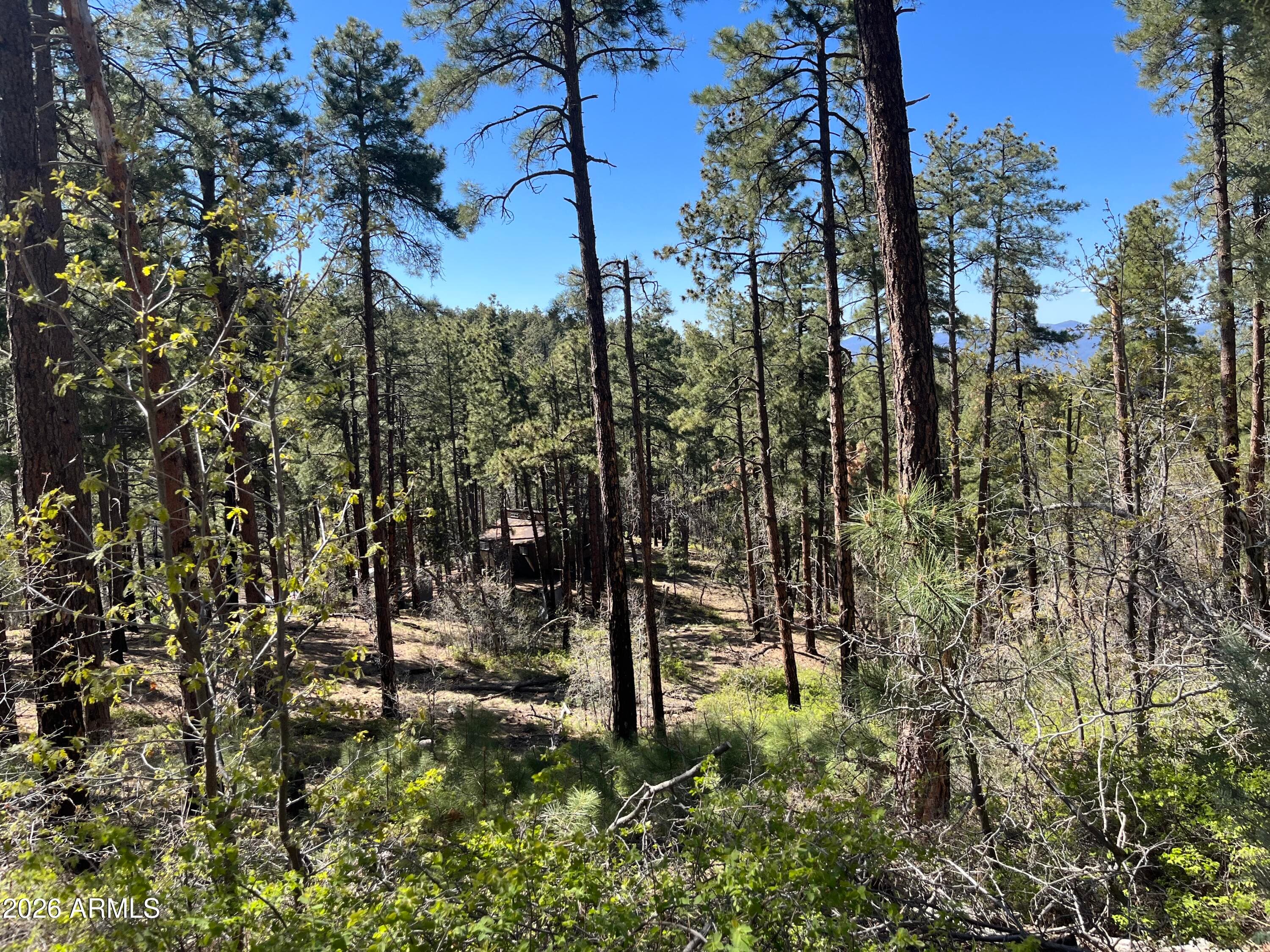 7070 E WILD FLOWER Road, Crown King, AZ 86343 — photo 13 of 14