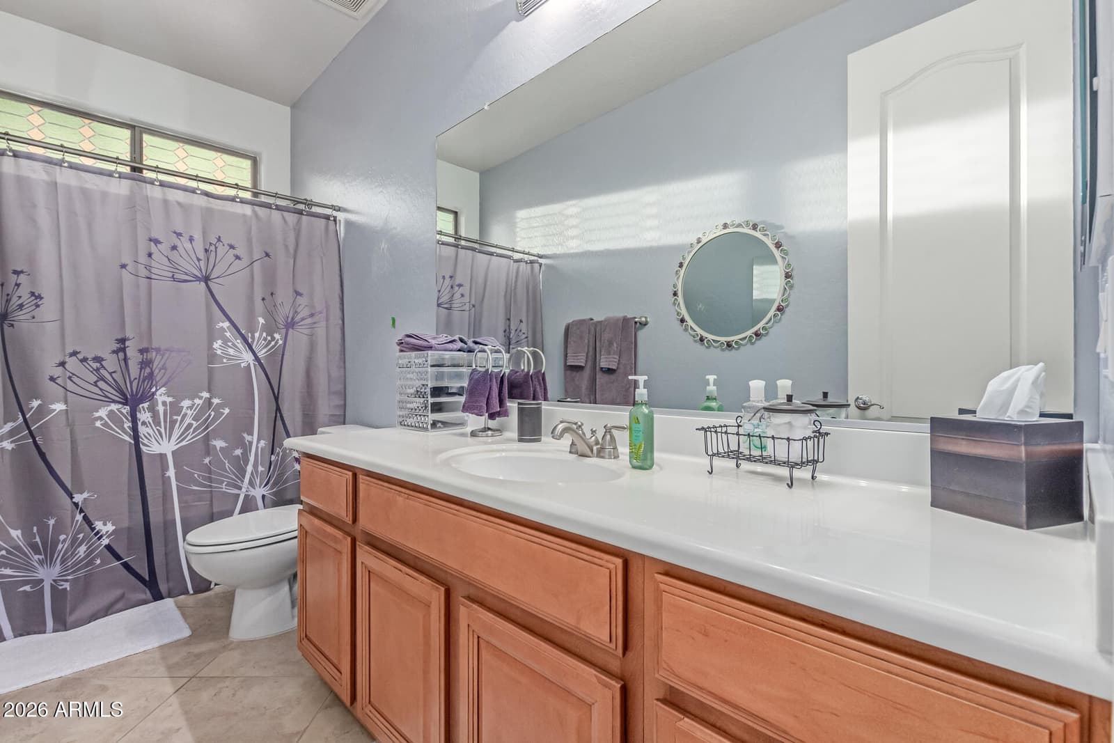 14391 W YUCATAN Street, Surprise, AZ 85379 — photo 50 of 94