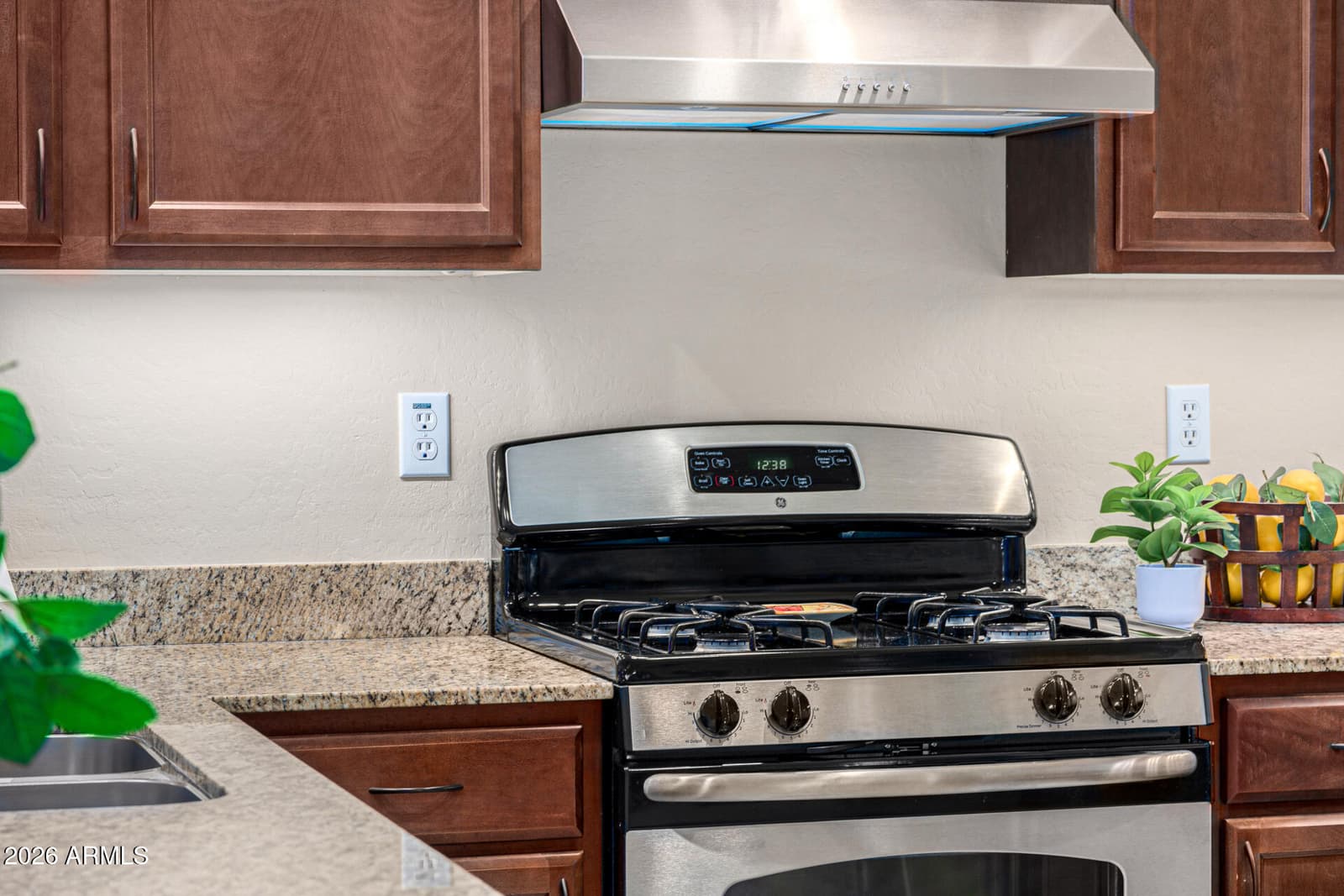 6202 E MCKELLIPS Road 297, Mesa, AZ 85215 — photo 16 of 56
