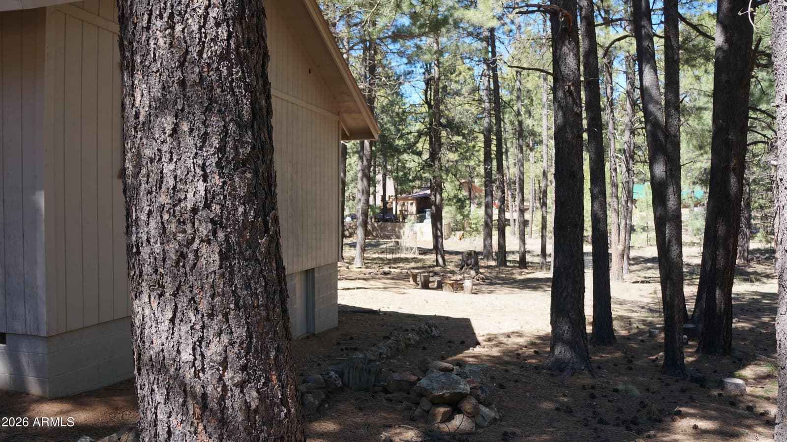 1667 Little Pine Trail, Forest Lakes, AZ 85931 — photo 33 of 42