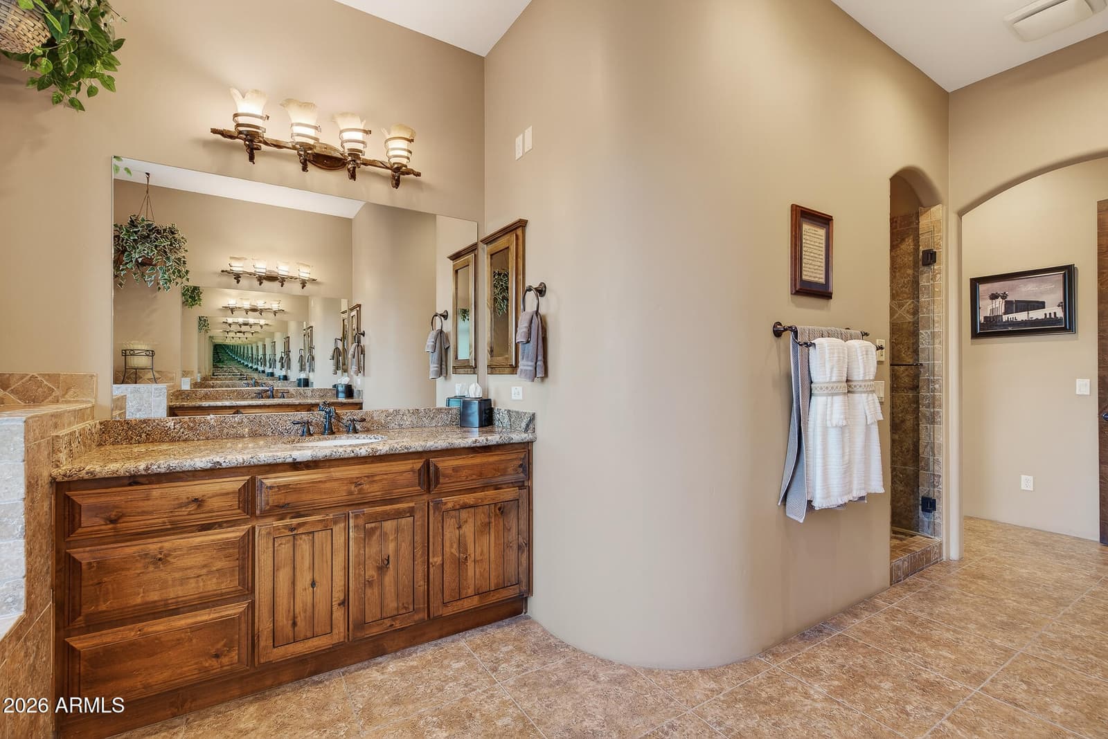 19707 W MARIPOSA Drive, Litchfield Park, AZ 85340 — photo 30 of 65