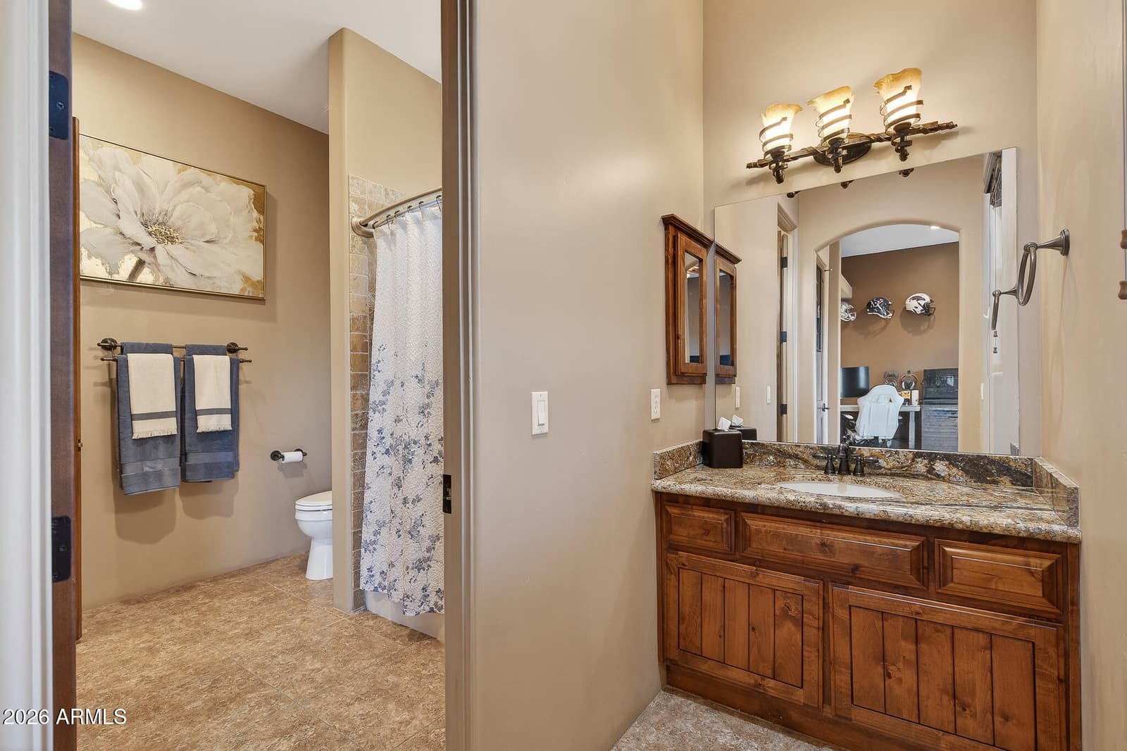 19707 W MARIPOSA Drive, Litchfield Park, AZ 85340 — photo 32 of 65