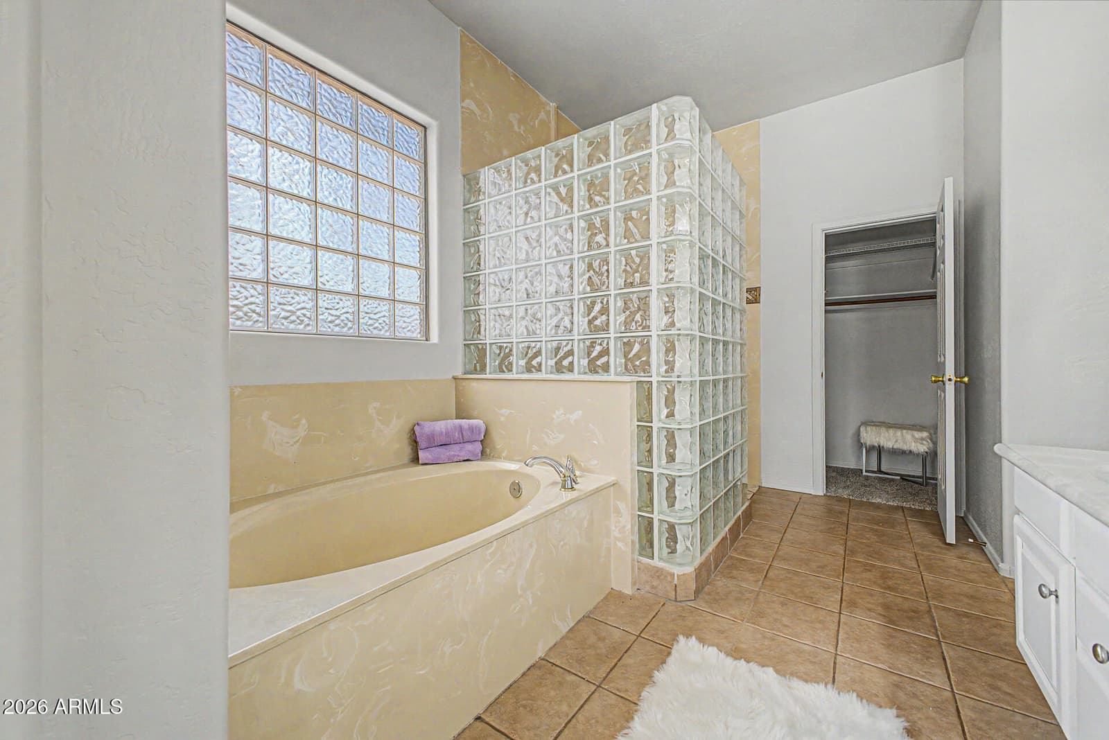 9711 E GLENCOVE Circle, Mesa, AZ 85207 — photo 16 of 34