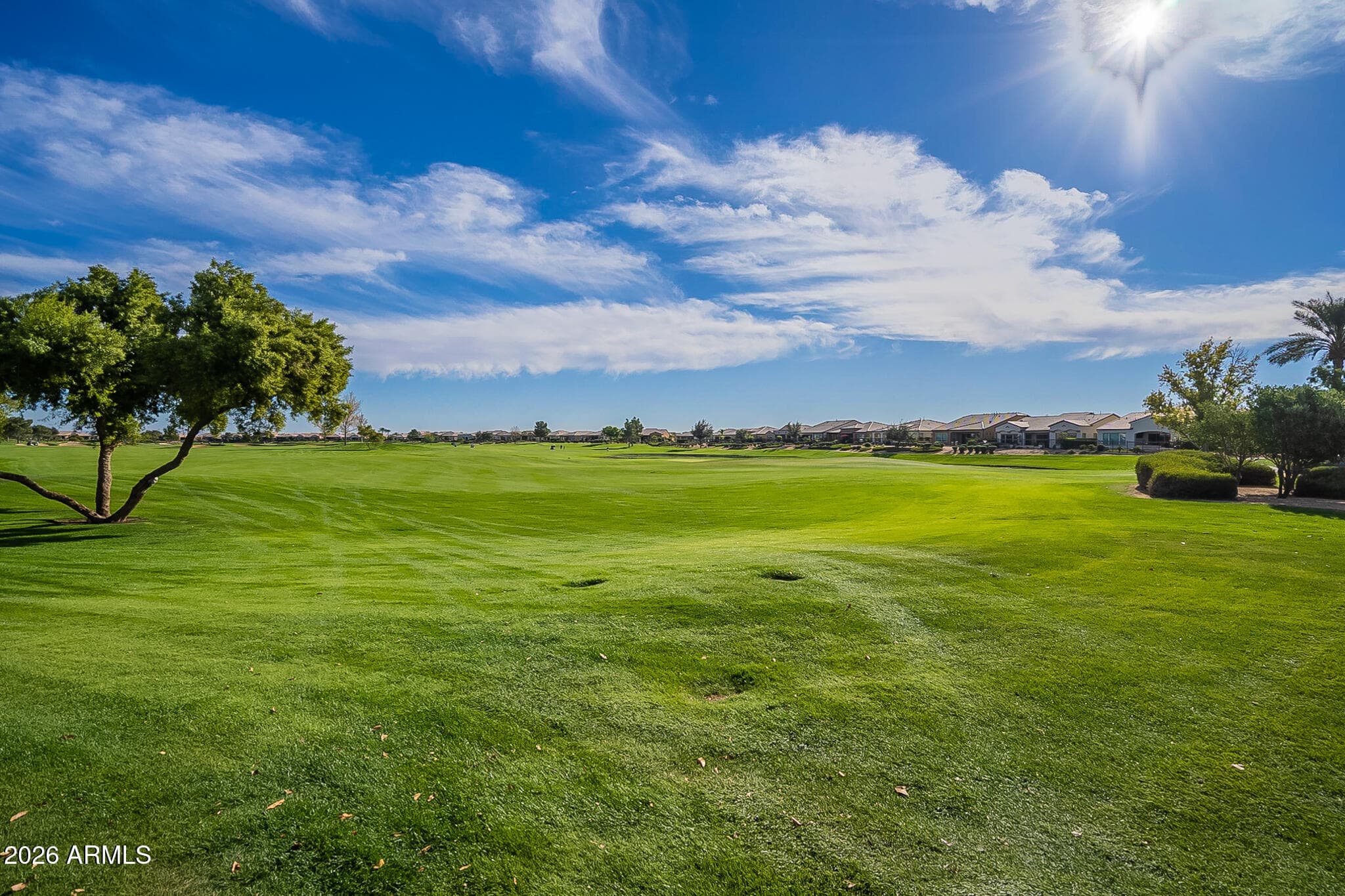 36170 N PUENTE ALTO Avenue, Queen Creek, AZ 85140 — photo 66 of 81