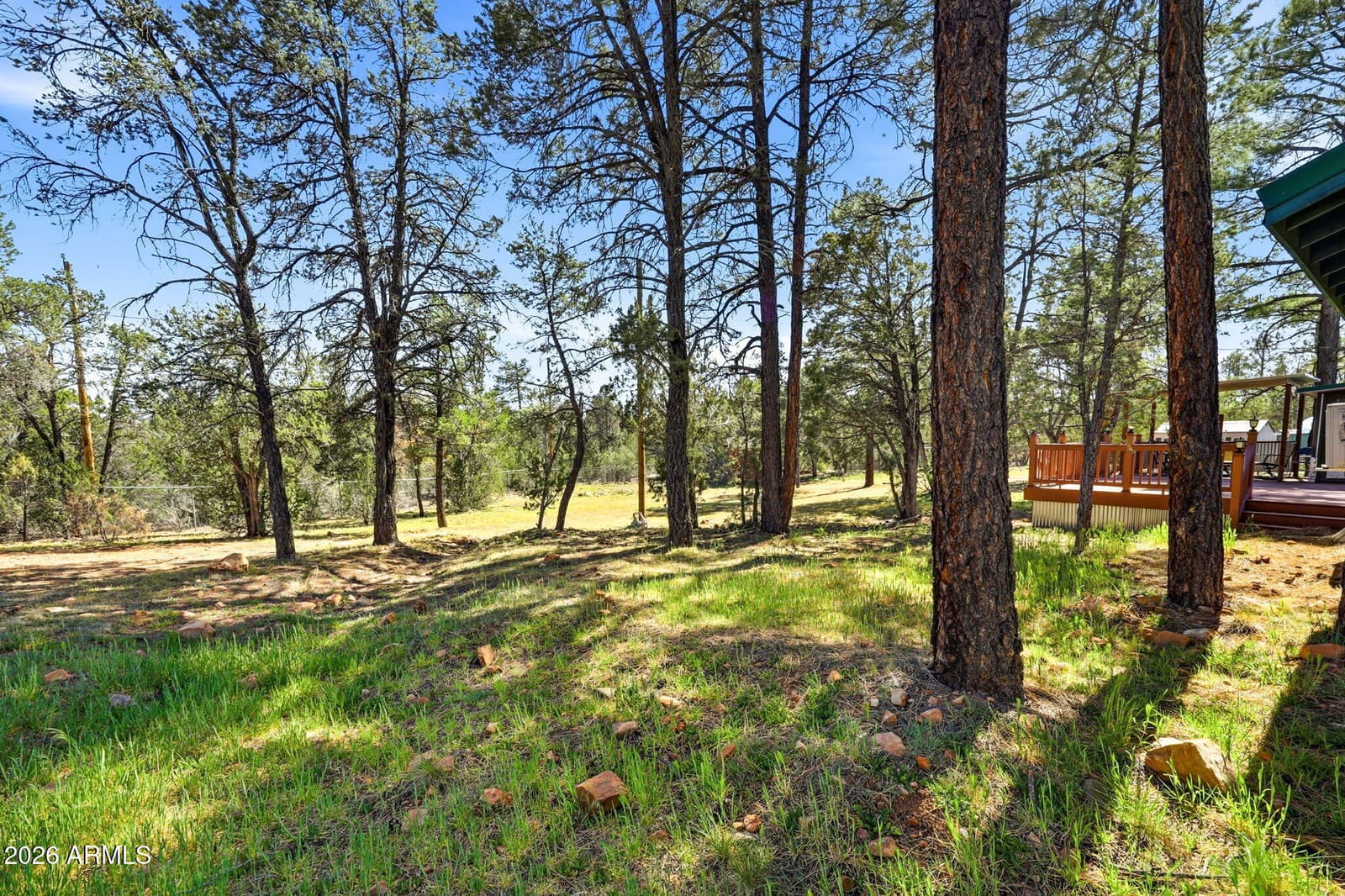 3121 Cedar Drive, Overgaard, AZ 85933 — photo 31 of 46