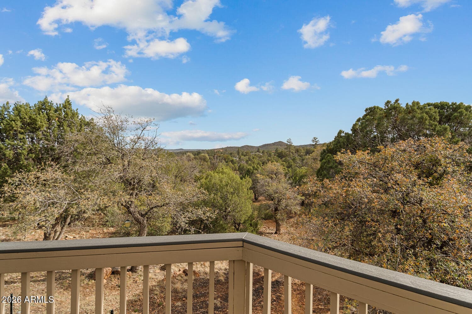 6325 GARDENIA Lane, Show Low, AZ 85901 — photo 8 of 70