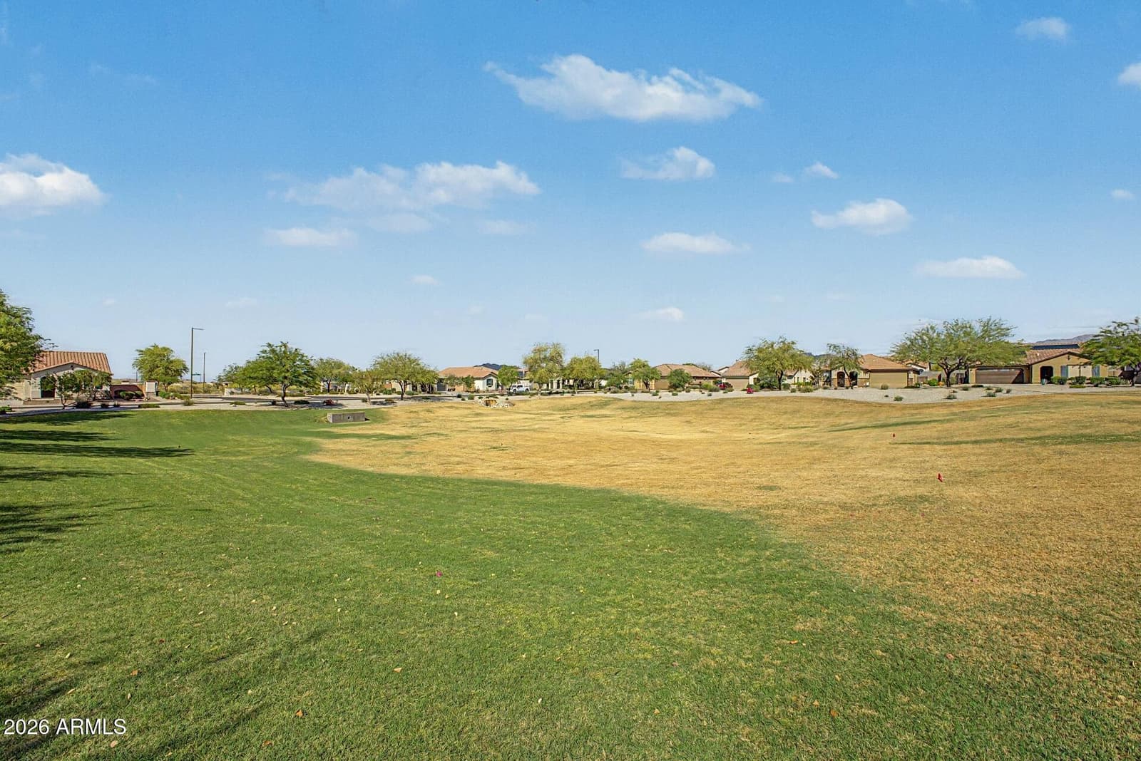 18021 W INDIGO BRUSH Road, Goodyear, AZ 85338 — photo 30 of 47