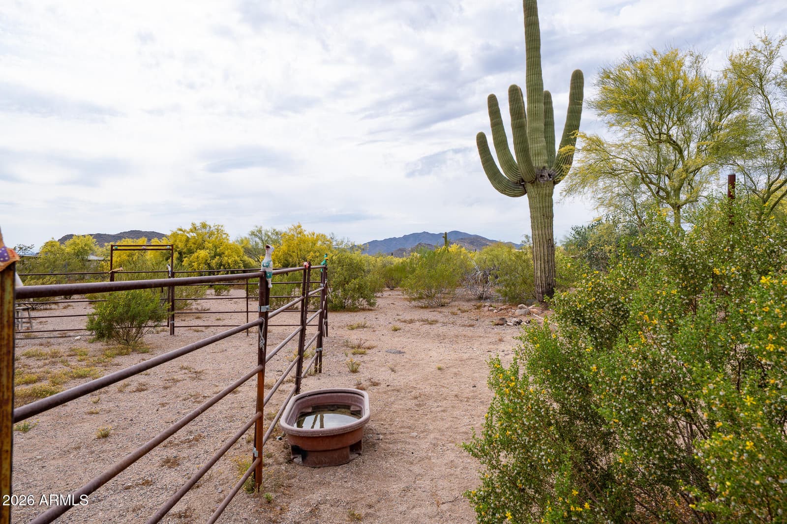 2143 E CAVALRY Road, New River, AZ 85087 — photo 57 of 67