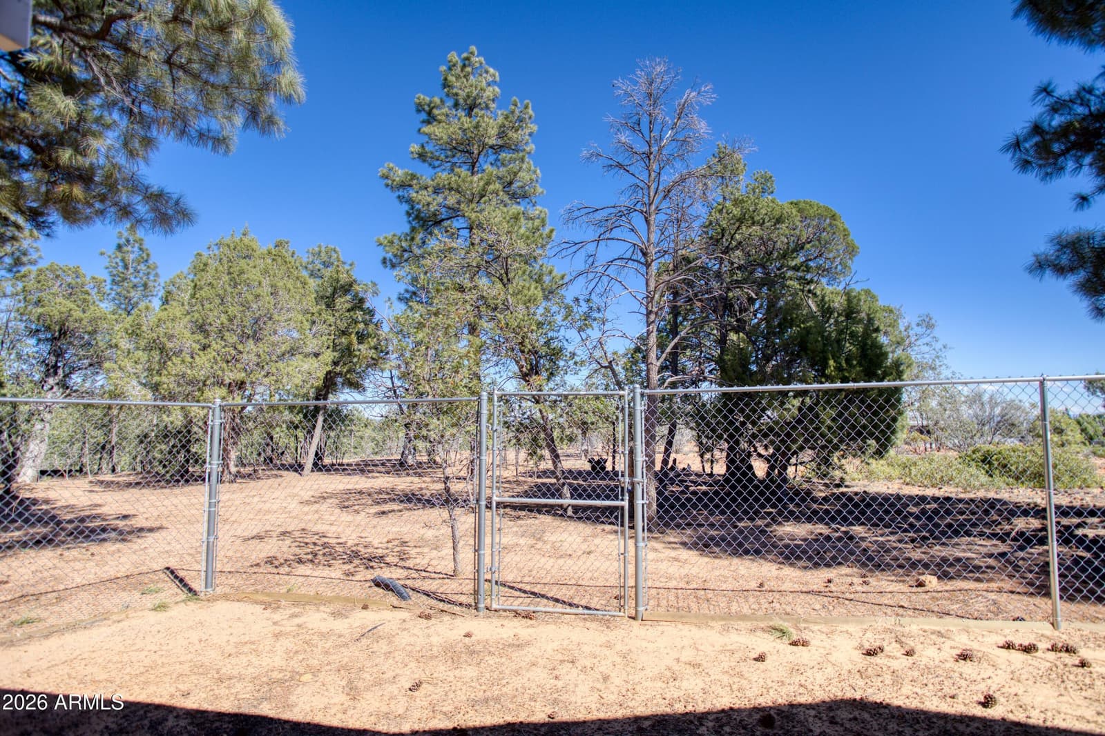 949 GERONIMO Lane, Show Low, AZ 85901 — photo 36 of 46
