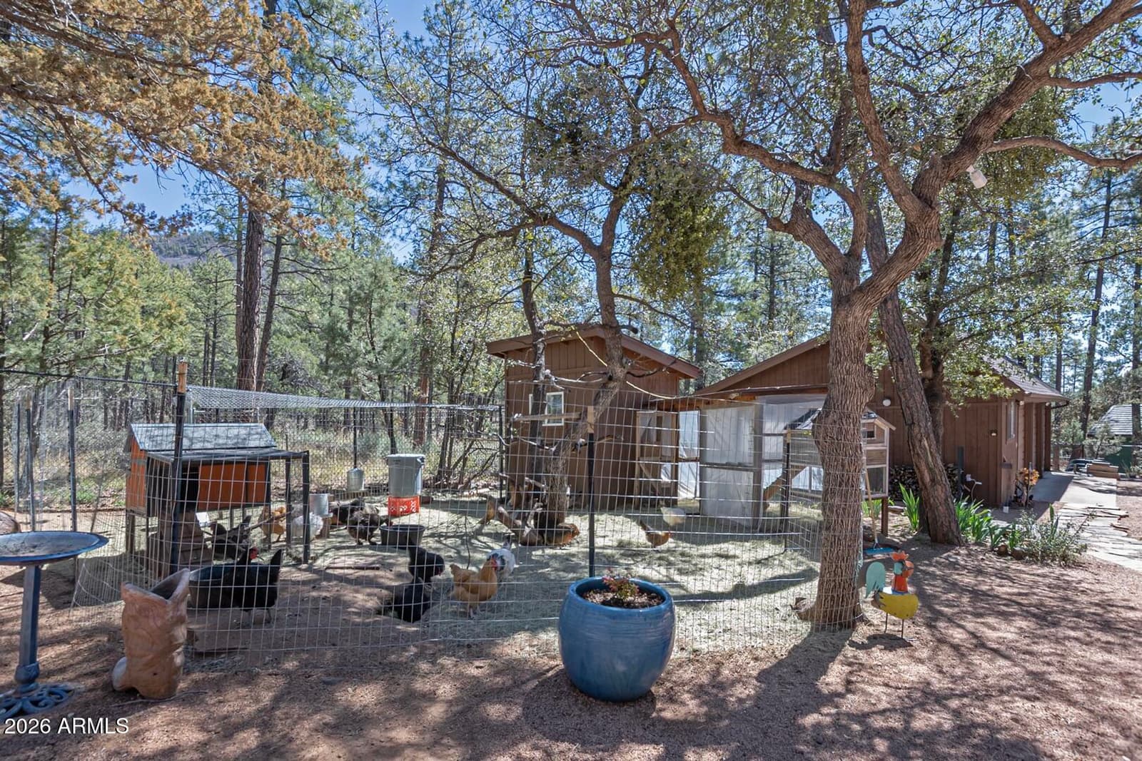4317 N Mogollon, Pine, AZ 85544 — photo 46 of 67