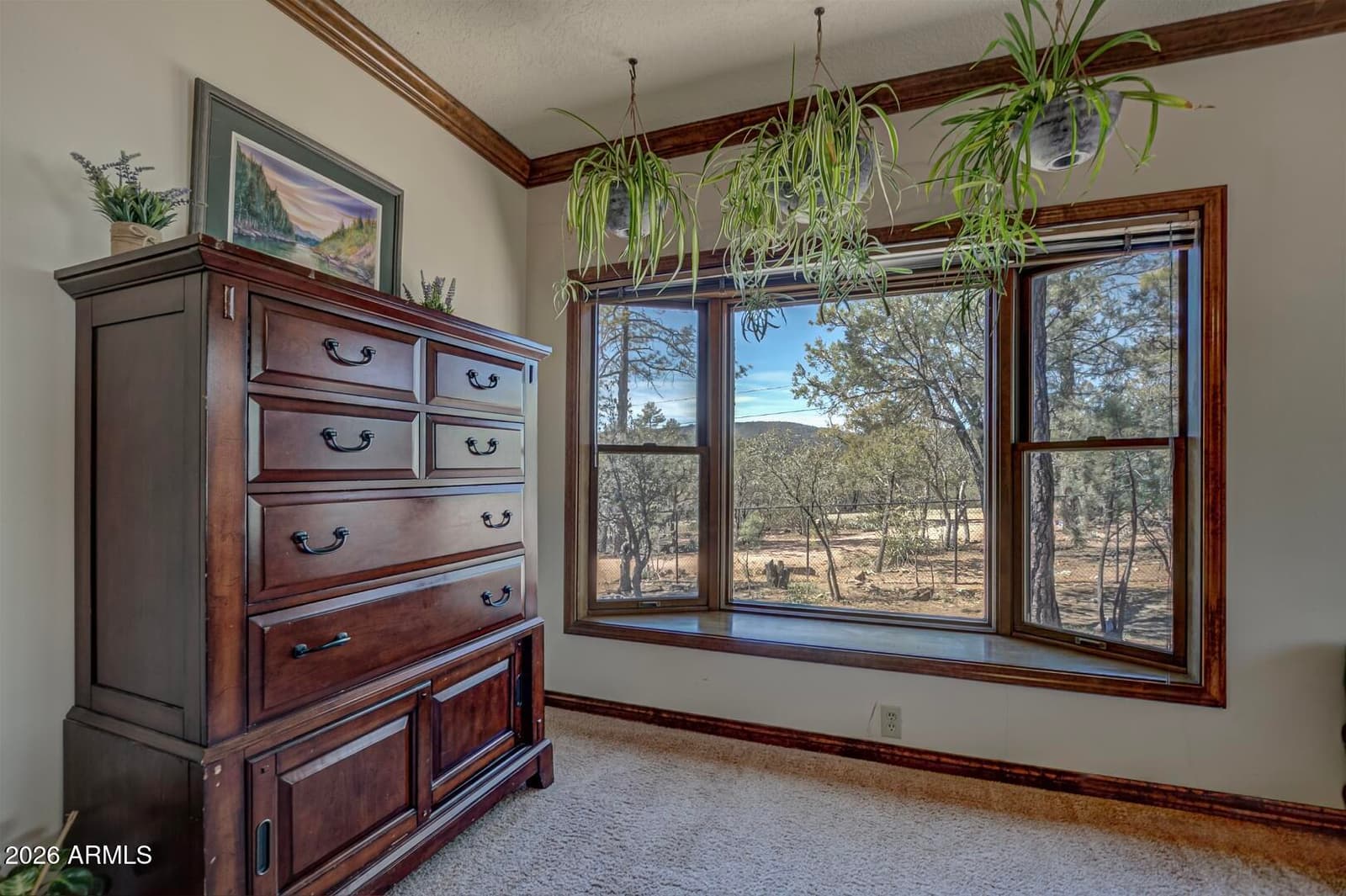 4317 N Mogollon, Pine, AZ 85544 — photo 23 of 67