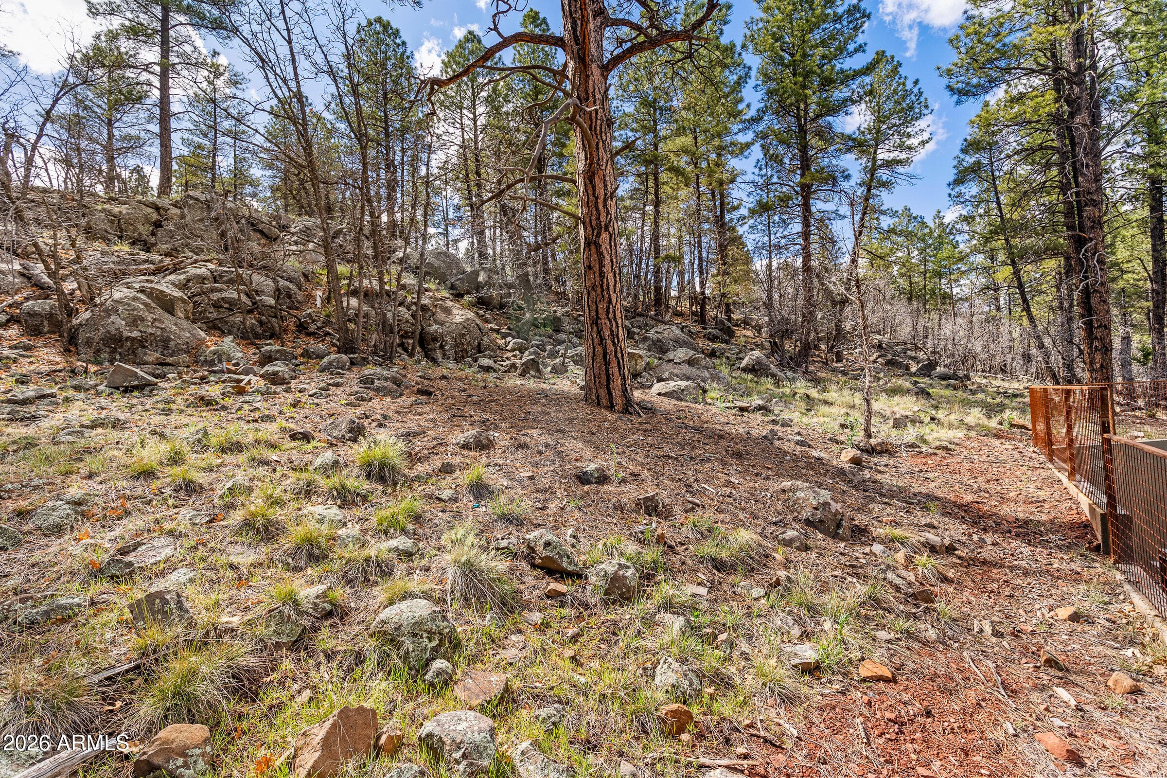 789 N Forest View Drive, Flagstaff, AZ 86001 — photo 56 of 67
