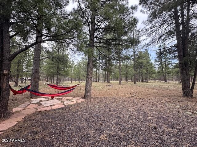 207 BLUE RIDGE Road, Mormon Lake, AZ 86038 — photo 37 of 65