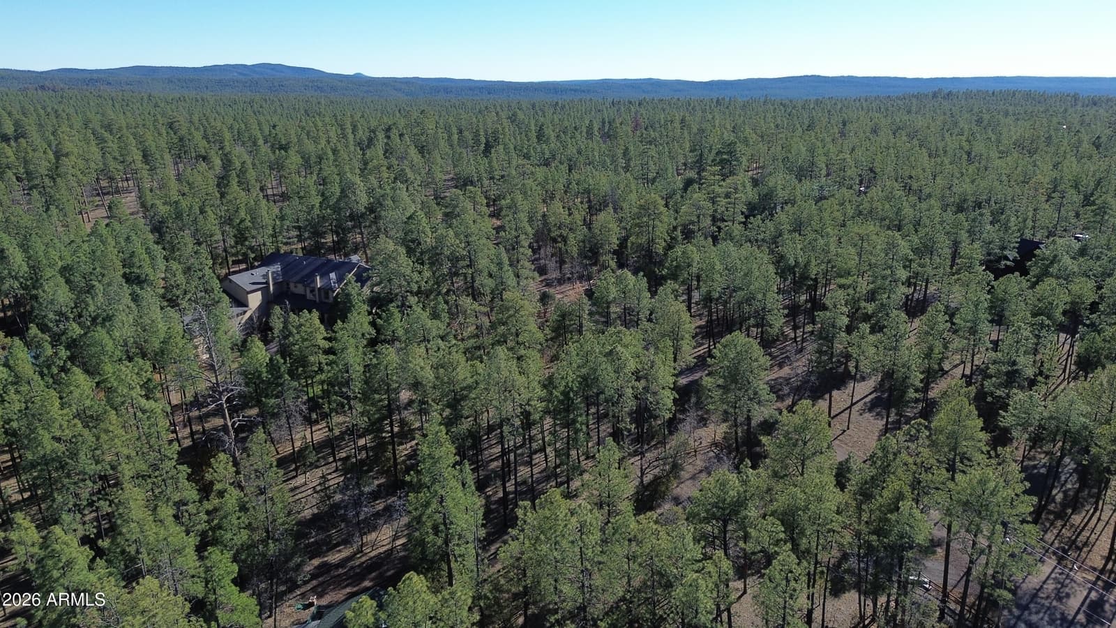 2875 S Timber Pine Lane, Pinetop, AZ 85935 — photo 1 of 196