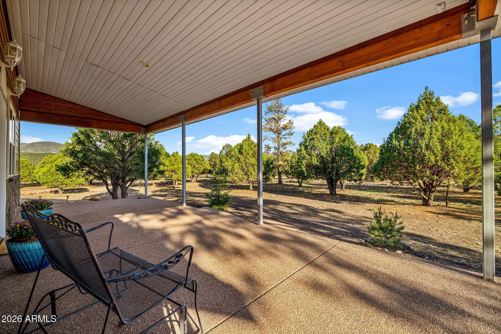 31 E COUNTY ROAD N2163 Drive, Nutrioso, AZ 85932 — photo 6 of 62