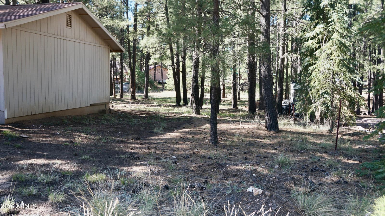 1667 Little Pine Trail, Forest Lakes, AZ 85931 — photo 29 of 42
