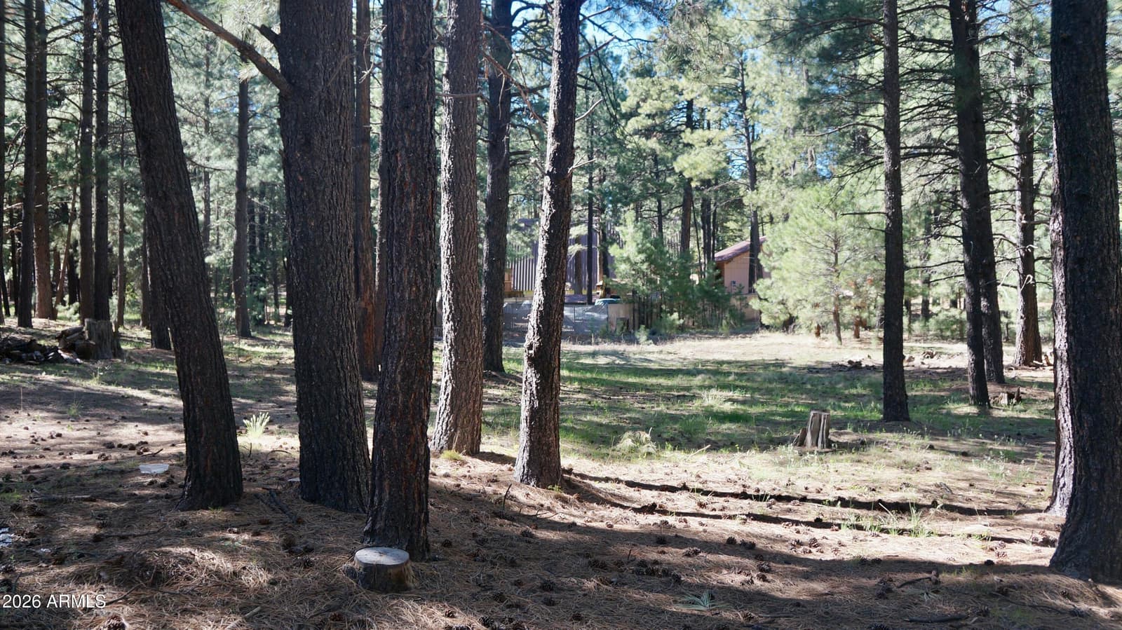 1667 Little Pine Trail, Forest Lakes, AZ 85931 — photo 32 of 42