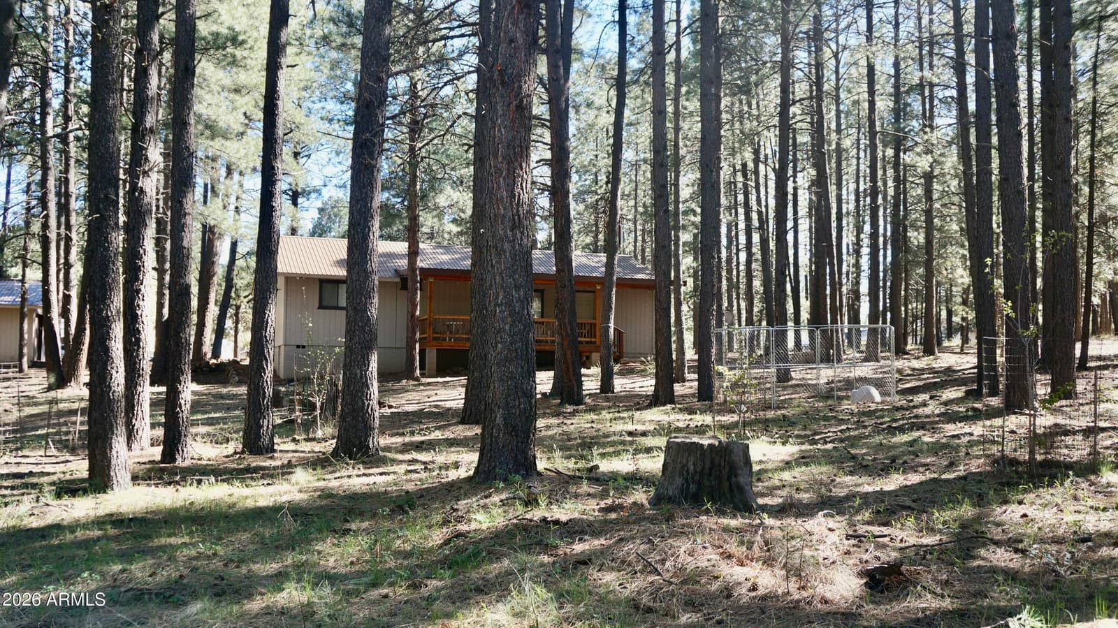 1667 Little Pine Trail, Forest Lakes, AZ 85931 — photo 36 of 42