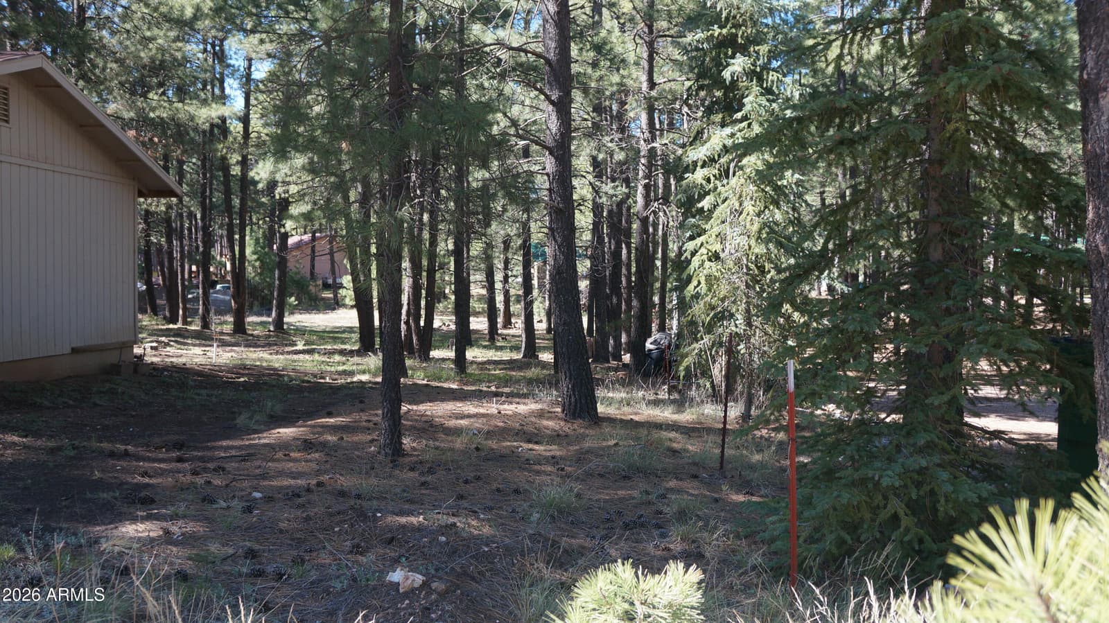 1667 Little Pine Trail, Forest Lakes, AZ 85931 — photo 37 of 42