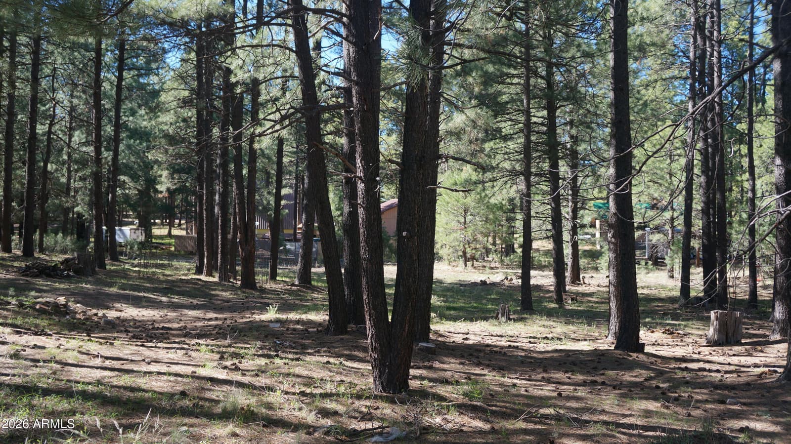 1667 Little Pine Trail, Forest Lakes, AZ 85931 — photo 38 of 42