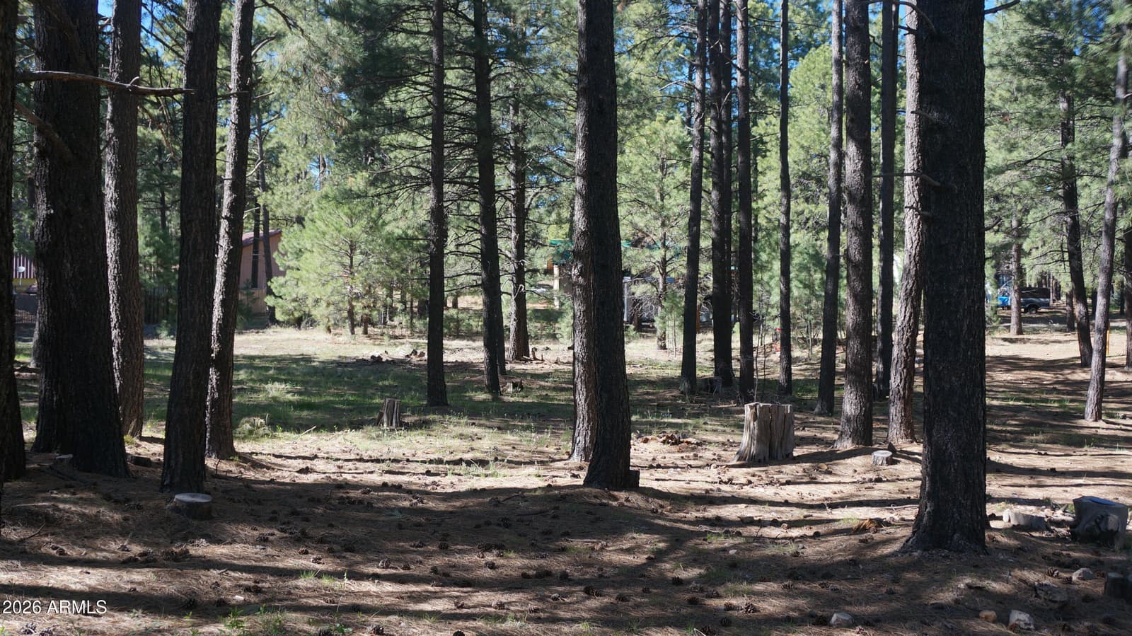1667 Little Pine Trail, Forest Lakes, AZ 85931 — photo 39 of 42